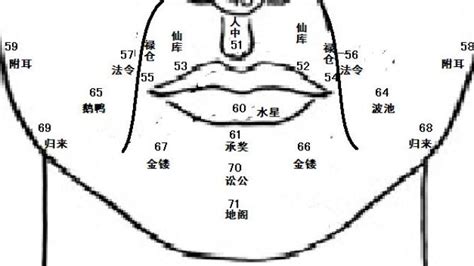 鼻子面向|麦玲玲面相讲座之 鼻子 – 人相学